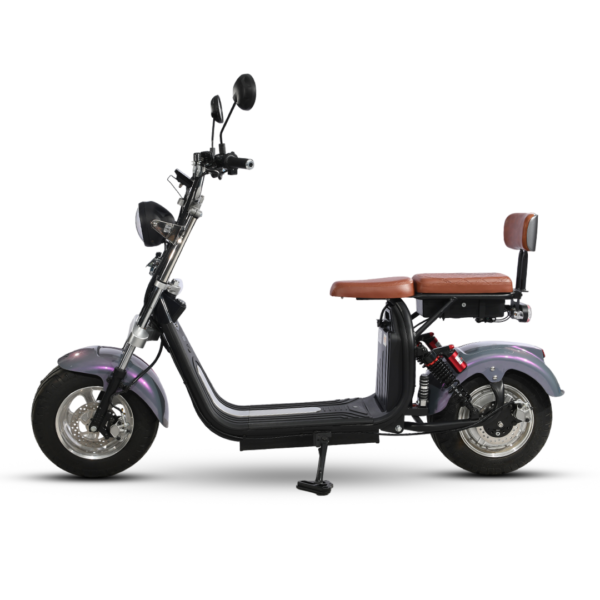 X-Buddy - Bashi Motors